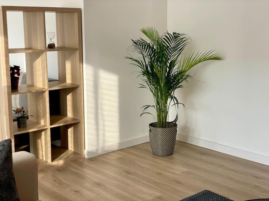 Appartement 73M2 - 2 Chambres - Parking - Wi-Fi تولوز المظهر الخارجي الصورة
